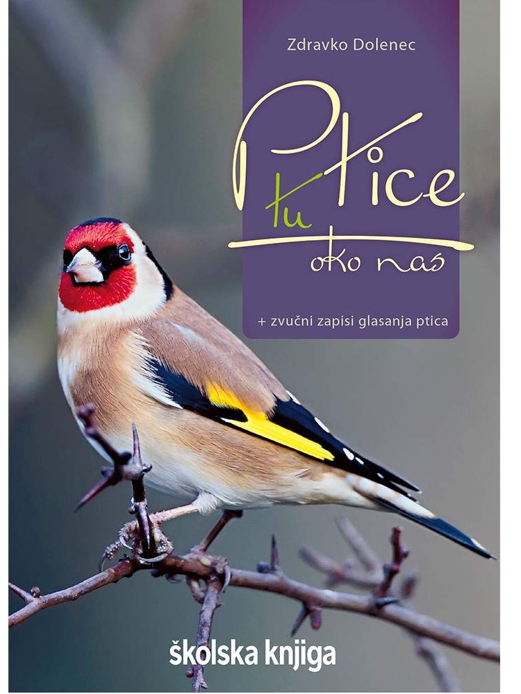 Ptice tu oko nas