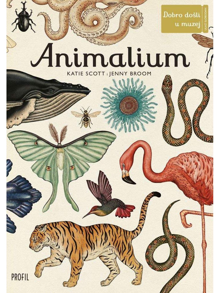 Animalium
