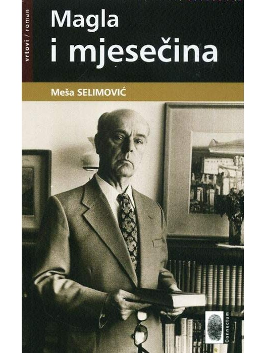 Magla i mjesečina