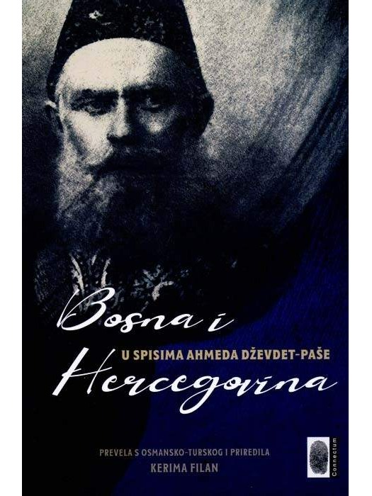 Bosna i Hercegovina u spisima Dževdet-paše