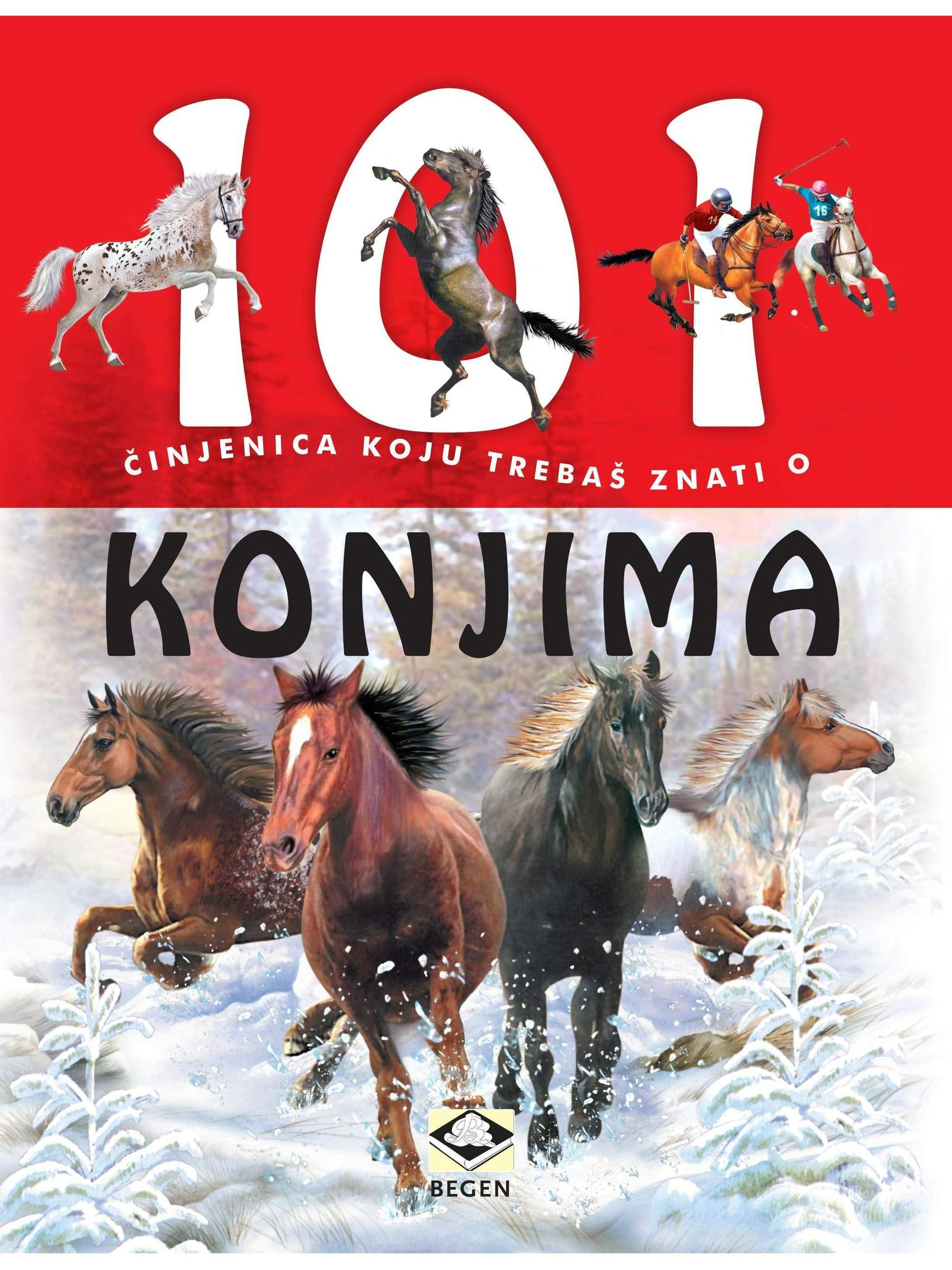 101 činjenica o konjima